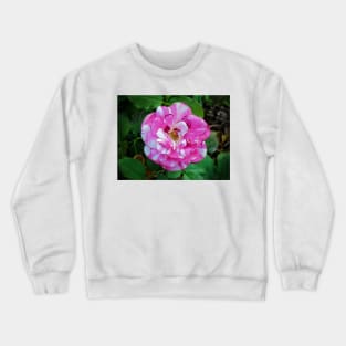 Striped Rose Crewneck Sweatshirt